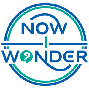 Now I Wonder's logo in blue and teal green.