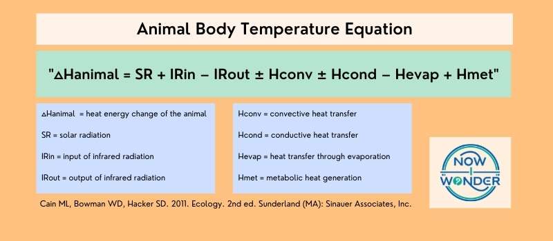 Scientific equation for body temperature in animals (Cain ML, Bowman WD, Hacker SD. 2011. Ecology. 2nd ed. Sunderland (MA): Sinauer Associates, Inc.).
