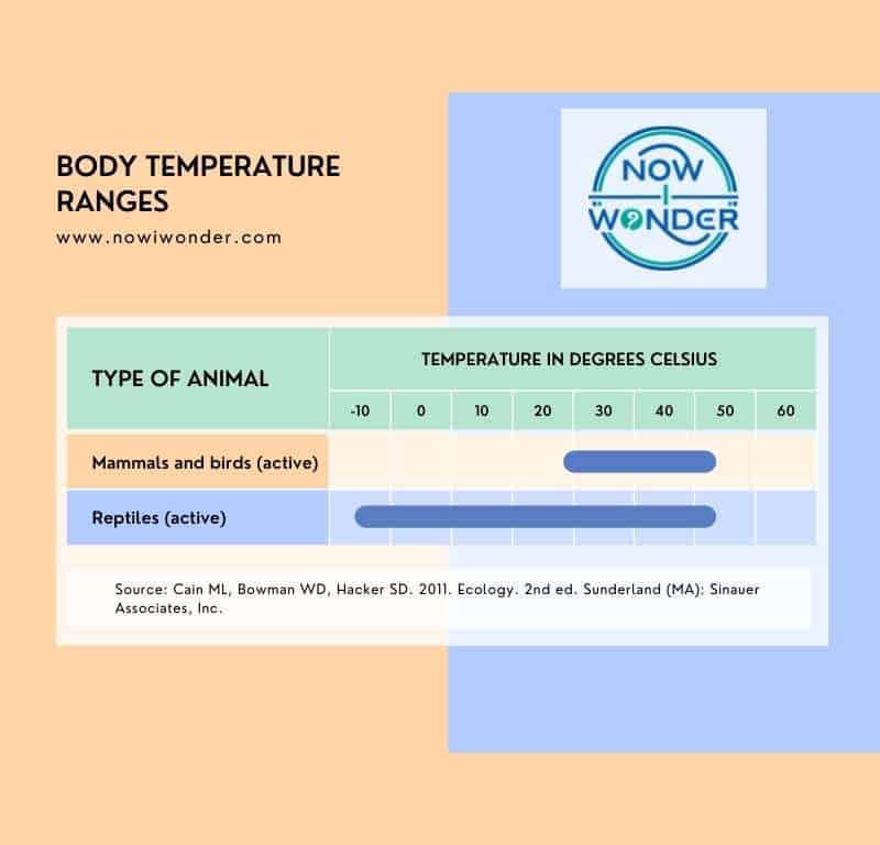 Comparison of body temperature ranges between active reptiles and active mammals and birds (Cain ML, Bowman WD, Hacker SD. 2011. Ecology. 2nd ed. Sunderland (MA): Sinauer Associates, Inc.).
