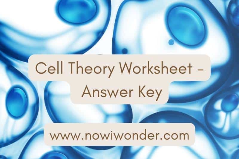 Cell Theory Worksheet Answer Key slide. Adapted from photograph by Zffoto, Getty Images. Used with permission.