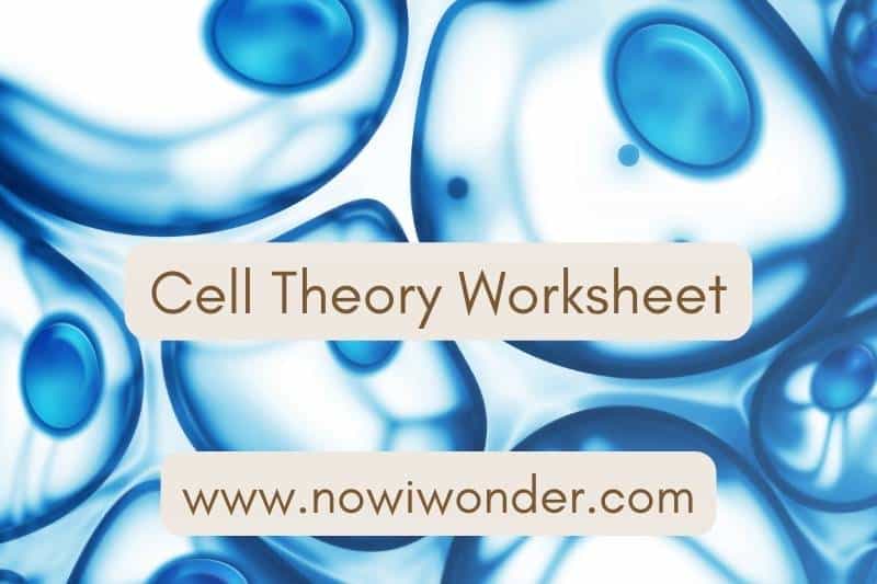 Cell Theory Worksheet slide. Adapted from photograph by Zffoto, Getty Images. Used with permission.